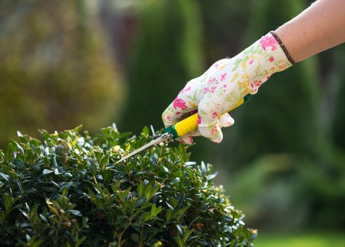 Garden clearance and landscaping pricing in Beckenham