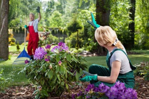 A Beckenham property garden makeover with hard landscaping and greenery