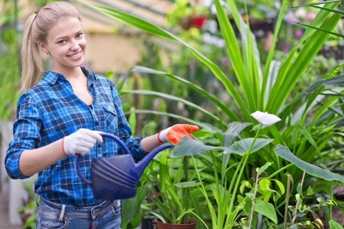 Visitor viewing Landscaping Beckenham cookie policy on a website