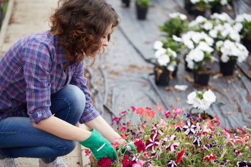 Landscaping complaints procedure overview with a professional site review