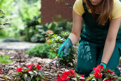 Garden drainage inspection for standing water in a Beckenham property