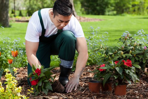 Safety inspection and risk assessment on a landscaping project