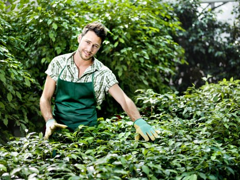 Inclusive landscaping Beckenham website experience for all users