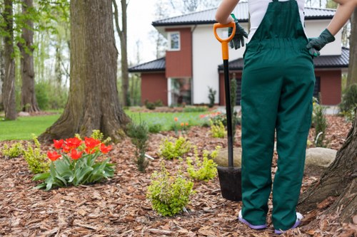Local landscaping team planning a garden layout in Beckenham